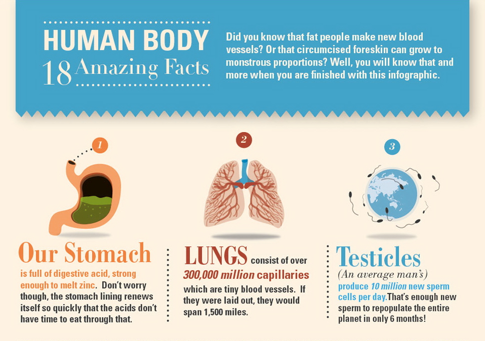 18-amazing-facts-about-the-human-body-infographic-infographics-fribly