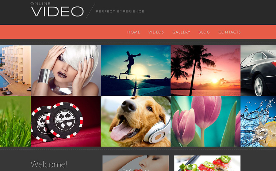 Video Blog WP Theme