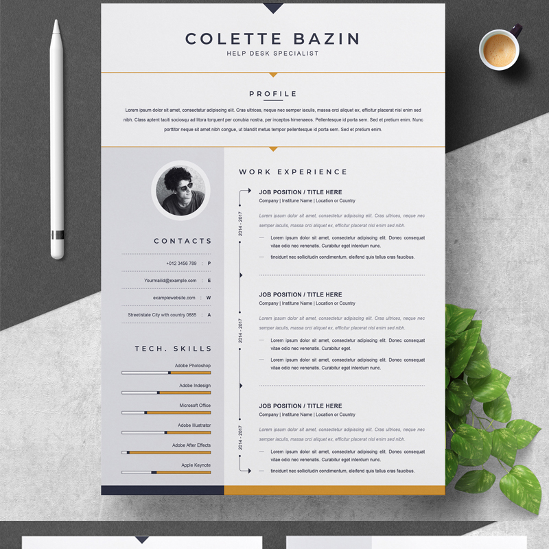 Bazin Resume Template