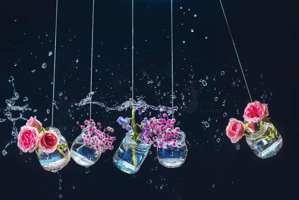 Magical Still Life Photography