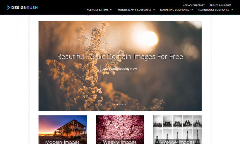 download free stock photos & images