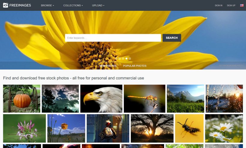 download free stock photos & images