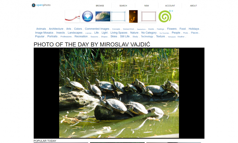 download free stock photos & images