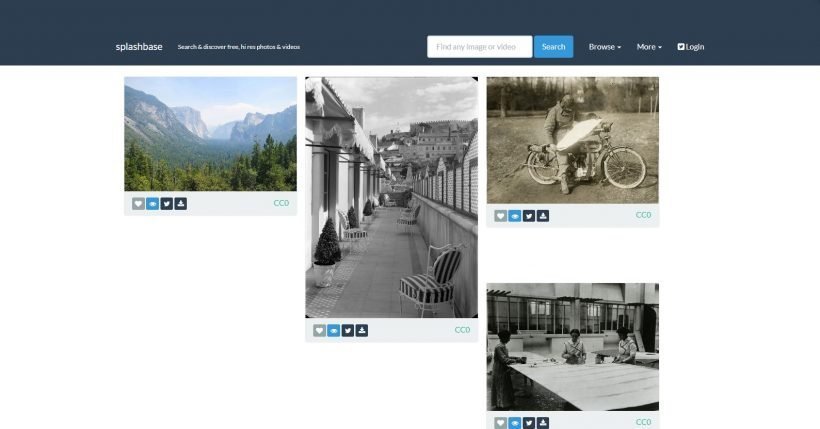 download free stock photos & images