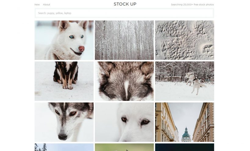 download free stock photos & images